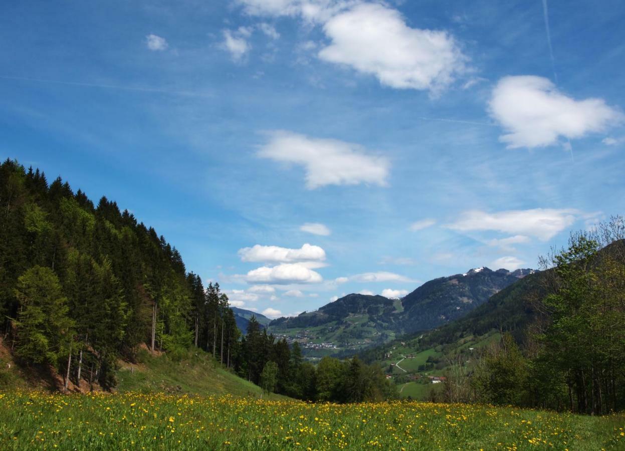 Unterhofgut Villa Goldegg Dış mekan fotoğraf
