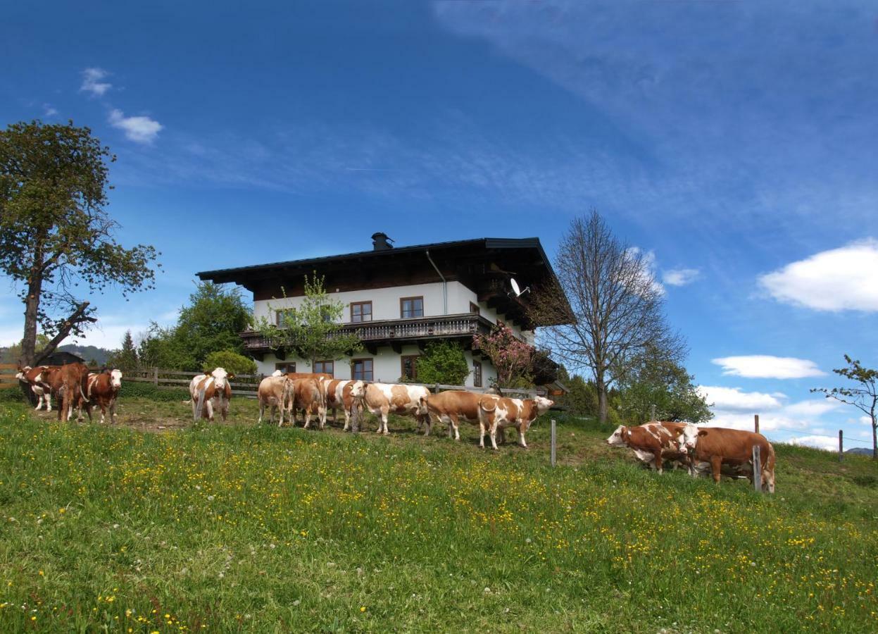 Unterhofgut Villa Goldegg Dış mekan fotoğraf