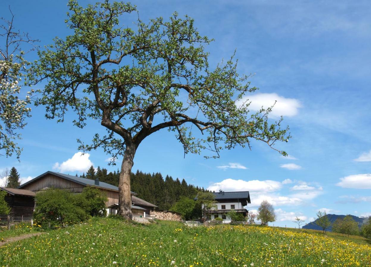 Unterhofgut Villa Goldegg Dış mekan fotoğraf