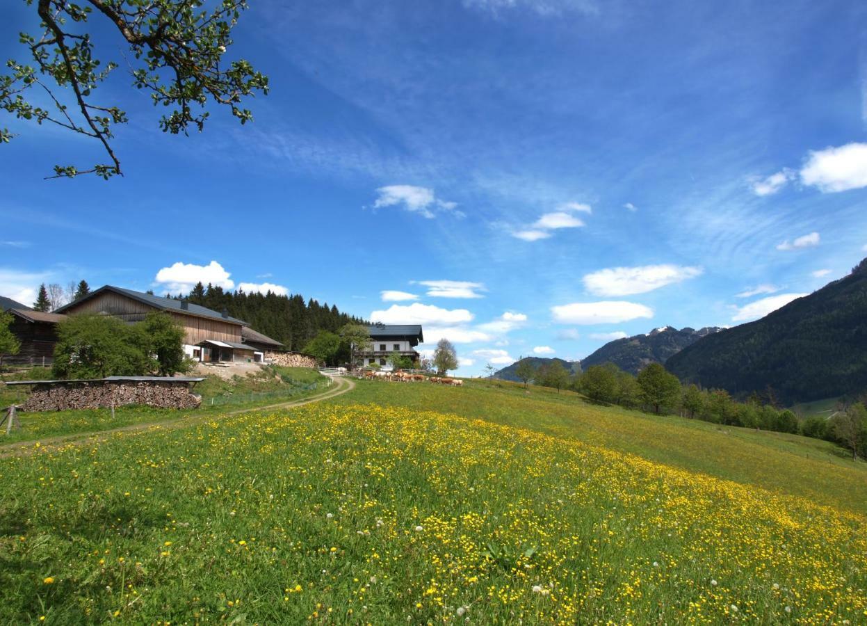 Unterhofgut Villa Goldegg Dış mekan fotoğraf